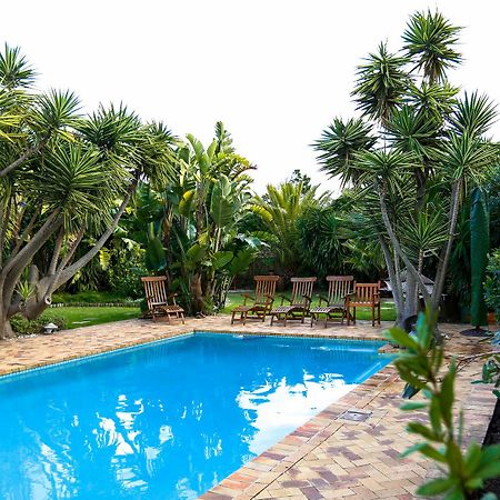 Secret Garden Guesthouse Bloubergstrand Luaran gambar
