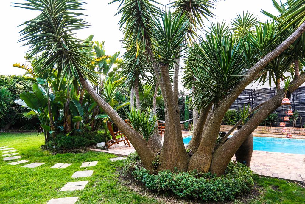 Secret Garden Guesthouse Bloubergstrand Luaran gambar