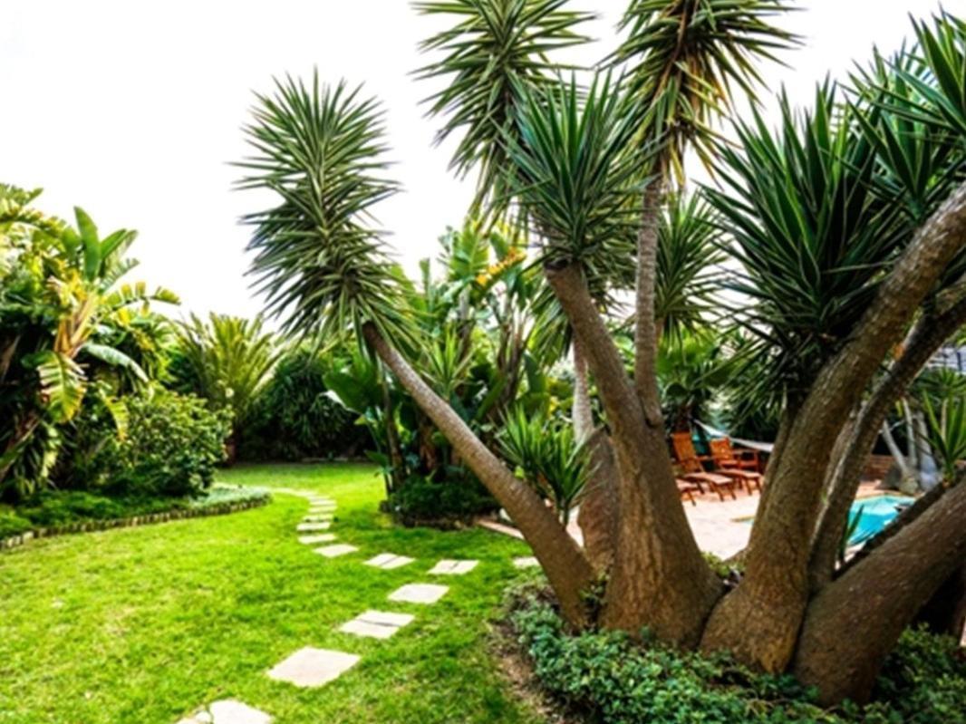 Secret Garden Guesthouse Bloubergstrand Luaran gambar
